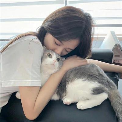 网虫日记海报