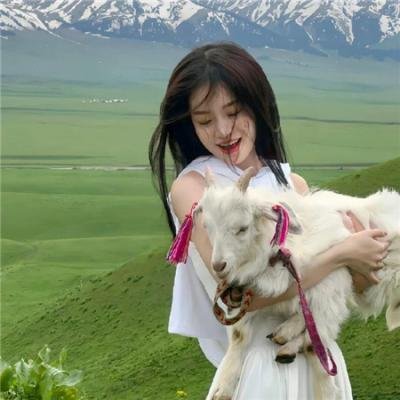 西线无战事海报